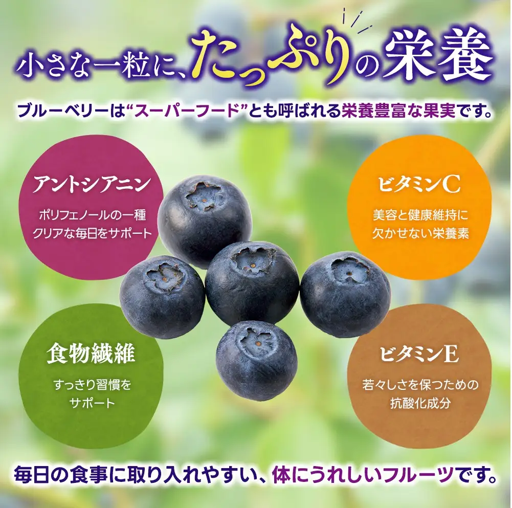 冷凍 ブルーベリー 1kg  金山パイロットファーム ベリー【knpr0009A】