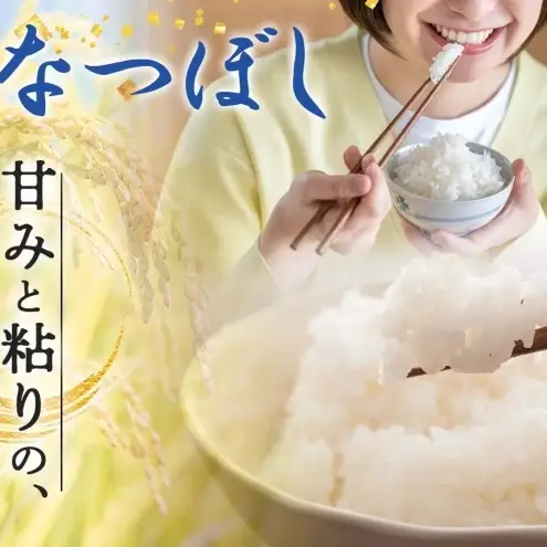 ななつぼし 無洗米 10kg 定期便 12回 令和8年産 お米 ななつぼし