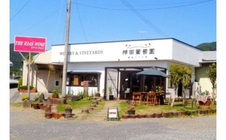 【神田葡萄園】100% ジュース リアスシリーズ 720ml×3本セット 【 ノンアルコール 飲み比べ 飲料 飲み物 ギフト 贈答品 】 RT1406
