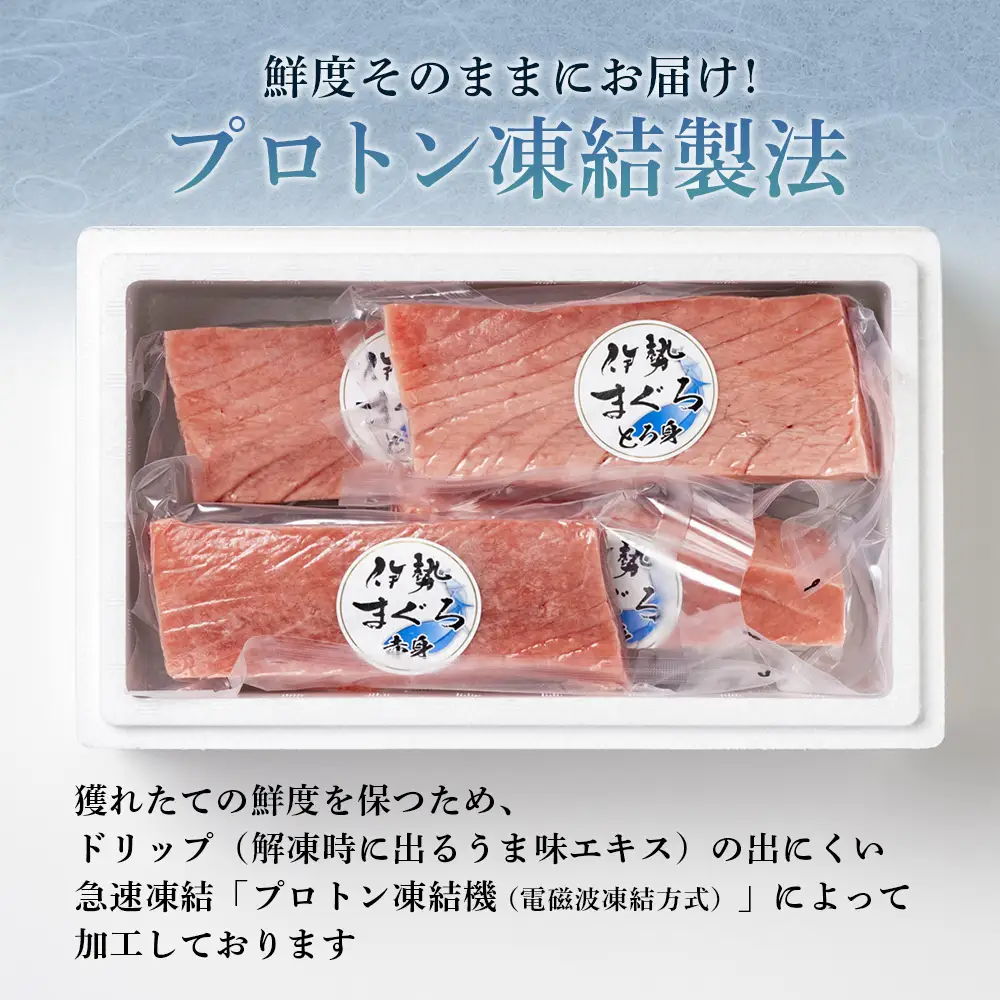 【 冷凍 】本マグロ 赤身 トロ身 約700g ブルーフィン三重 【 本鮪 】
