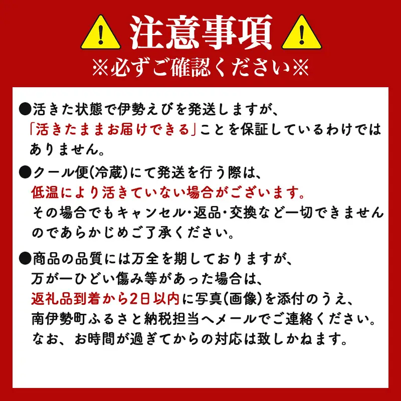【活伊勢海老】伊勢海老 約800～850g 3～4尾 