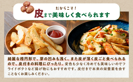 じゃがいも（さやあかね）無農薬・無肥料・自然栽培・北海道産【5kg】_I007-0481