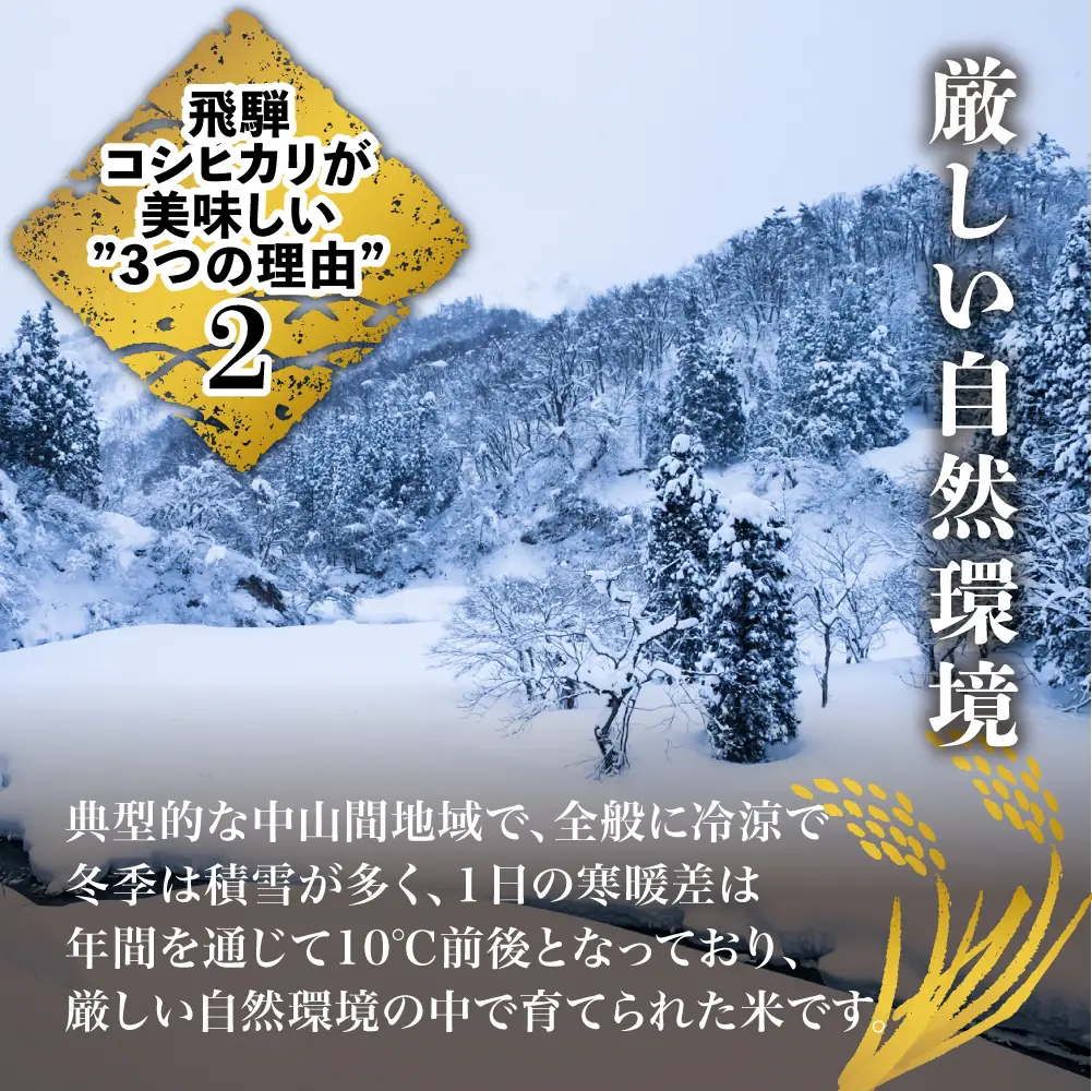 【ふるなび限定】定期便 6ヶ月 令和7年産 飛騨 コシヒカリ 白米 5kg 定期便 JAひだ GS100 FN-Limited-PR