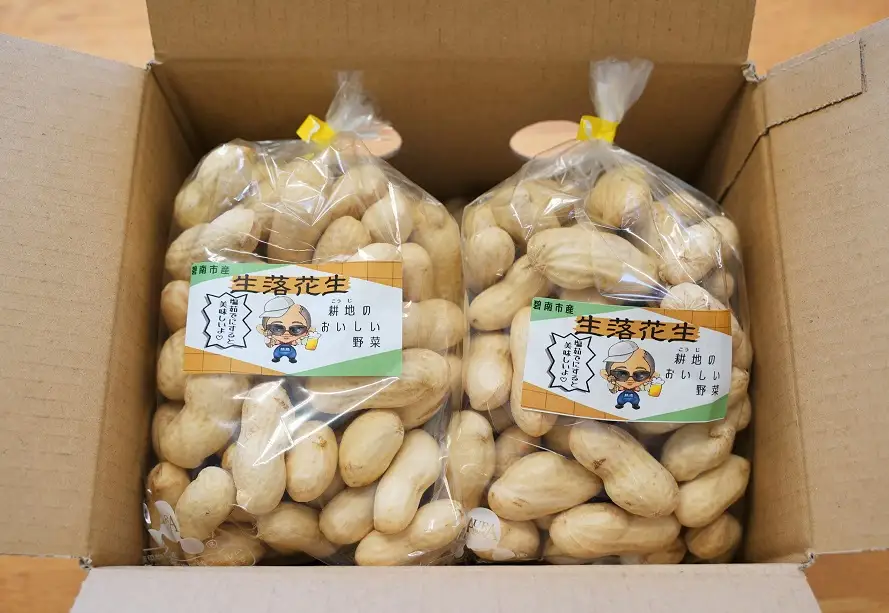 生落花生 おおまさり 2kg とれたて 耕地の美味しい野菜シリーズ第1弾 H132-028