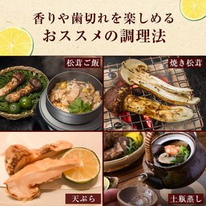 信州産「天然松茸」（約200g/2～8本） 野菜 きのこ まつたけ
