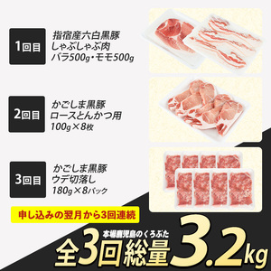 全3回 定期便 かごしま黒豚バラエティ定期便 岡村商店 IBZ024-003