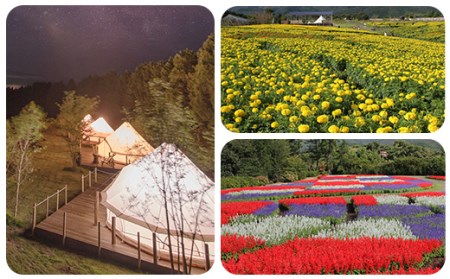 【くじゅう花公園グランピング】花と星 宿泊 補助券 30,000円分