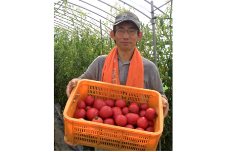 農家の手作りドリンクセット トマト ジュース 化粧箱入(1L×2本)2セット／ リコピン 野菜ジュース 飲料 とまと 贈り物 ギフト 畑工房気まま屋 奈良県 宇陀市 ふるさと納税