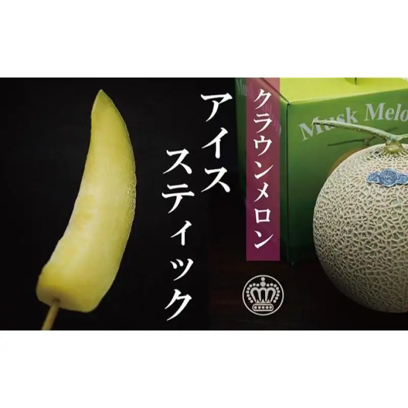アイススティック 10本 6ヶ月 フルーツ 果物 メロン