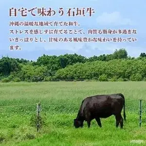 石垣牛・ステーキ肉 ヒレ 360g（約180g×2枚） （AG018-1）