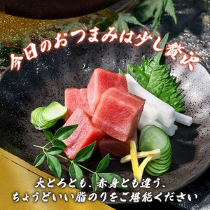 本マグロ 本鮪 中トロ200g  高知県土佐市 【株式会社大熊】 [BQAA036]