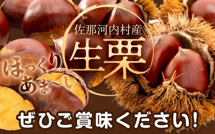 佐那河内産　生栗1kg(サイズ混合)《10月上旬-10月末頃発送》