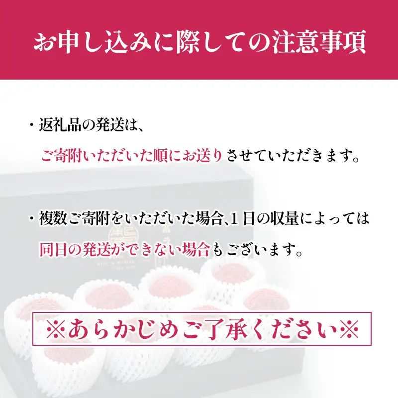 ［2027年発送］先行予約 希少！国産＜新富ライチ＞40g前後×10玉 国産 ブランド フルーツ 果物 贈答品【B120-27】