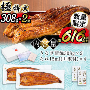 日ノ本一の鰻の蒲焼き＜極特大＞2尾セット(計616g以上) うなぎ 鰻 ウナギ 国産 鹿児島県産 九州産 蒲焼き 冷凍 うな重 ひつまぶし b7-010
