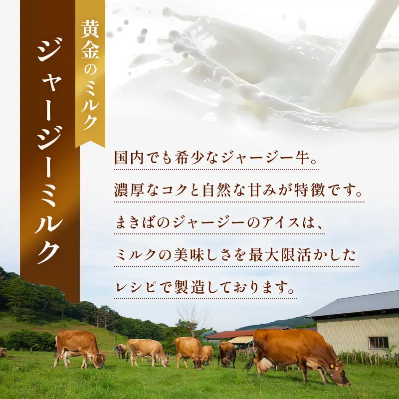 【ジャージー牛乳使用】まきばのジャージーアイス 500ml×2 (絶品ミルク) 福島県 伊達市 東北 ミルクアイス アイスクリーム 濃厚 F21C-039