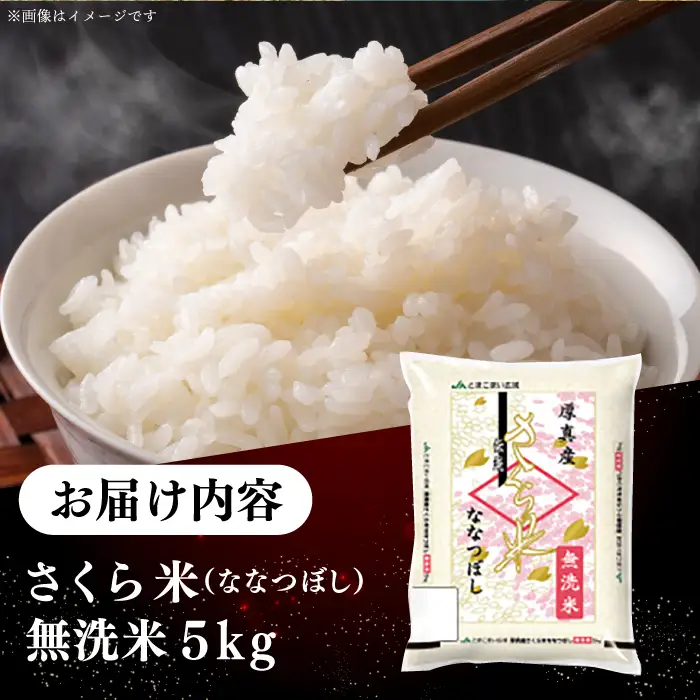 【令和7年産】【無洗米】 一等米 さくら米（ななつぼし）5kg 北海道 コメ こめ ブランド 銘柄 [AXAB033]
