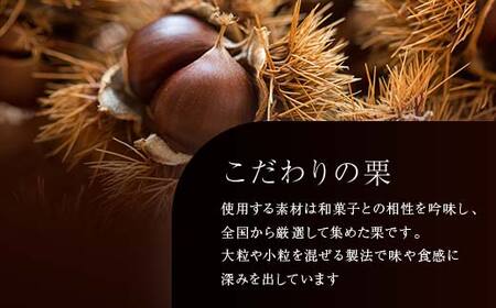 新栗 和菓子処一茶堂 中津川栗きんとん 15個入り F4N-0835