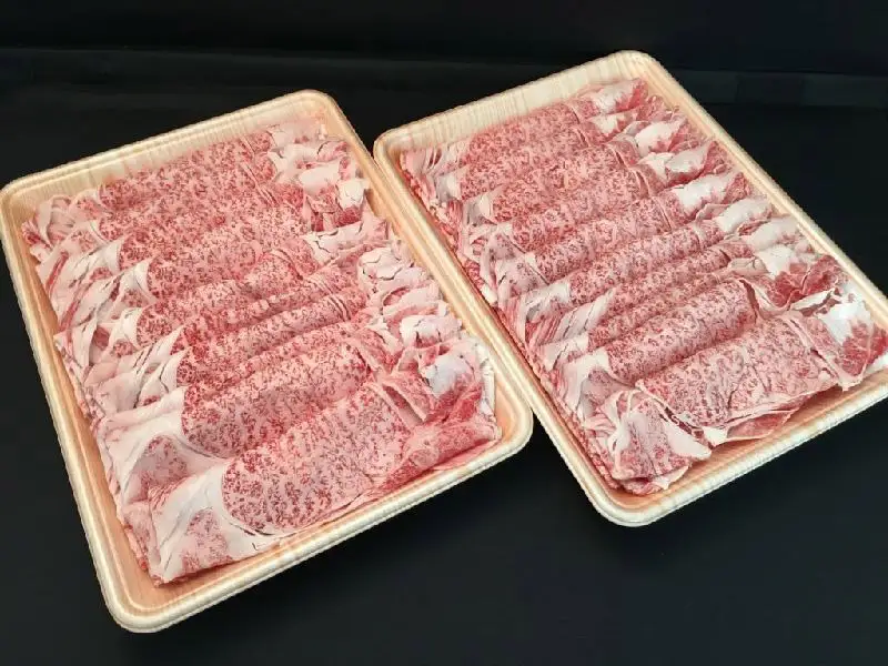 「肉の芸術品」飛騨牛すき焼き用（肩ロース肉）250g×2パック F4N-0613