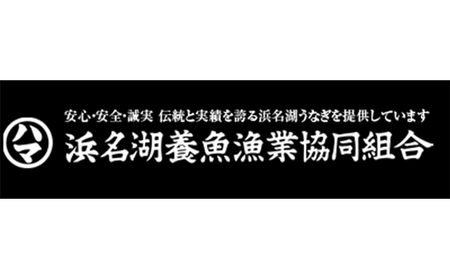 浜名湖うなぎ長蒲焼　2枚入【配送不可：離島】 鰻 ウナギ たれ 