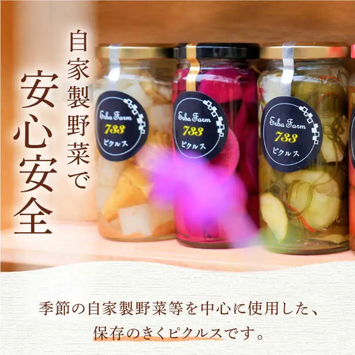 ピクルス おまかせ ピクルス 3本 [ABAP001]