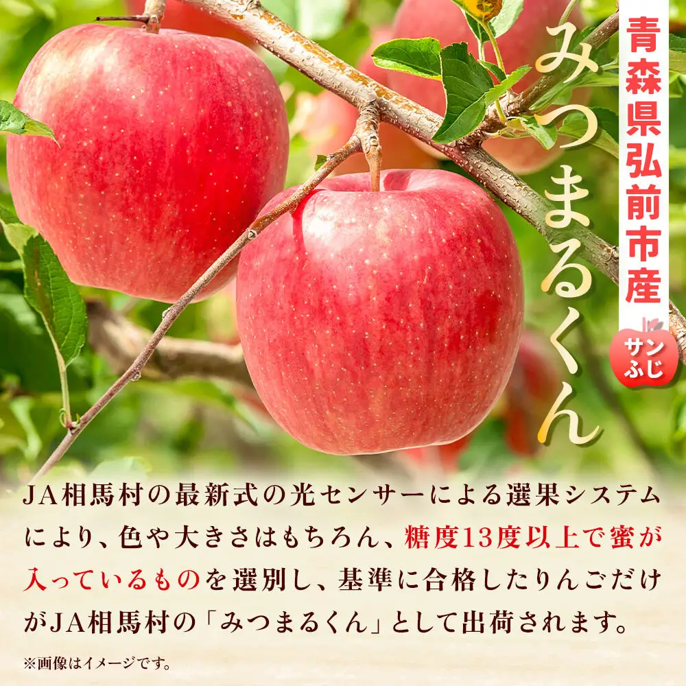 りんご 蜜入り サンふじ（みつまるくん）約 2.5kg【11月～発送】りんご