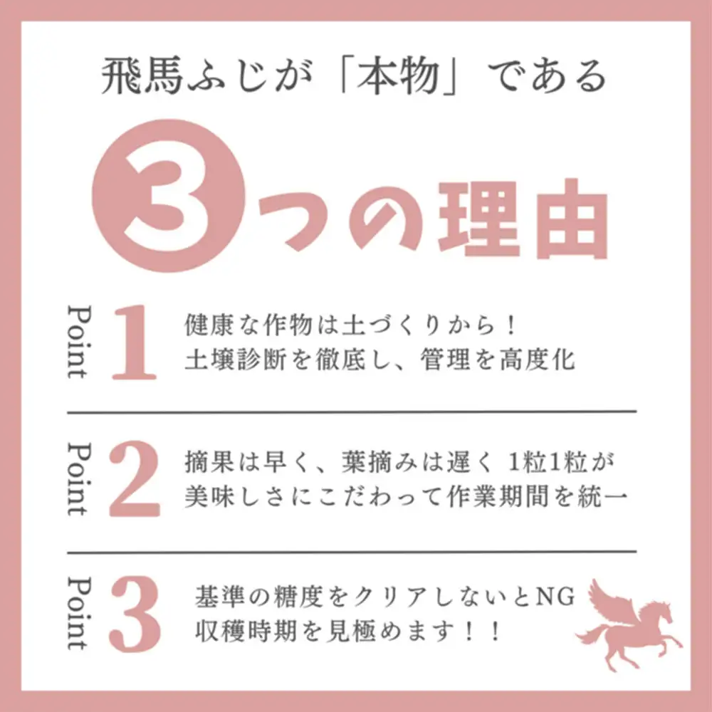 【26年12月～発送】りんご 糖度14度以上 「 飛馬ふじ 」（サンふじ）約 2.5kg