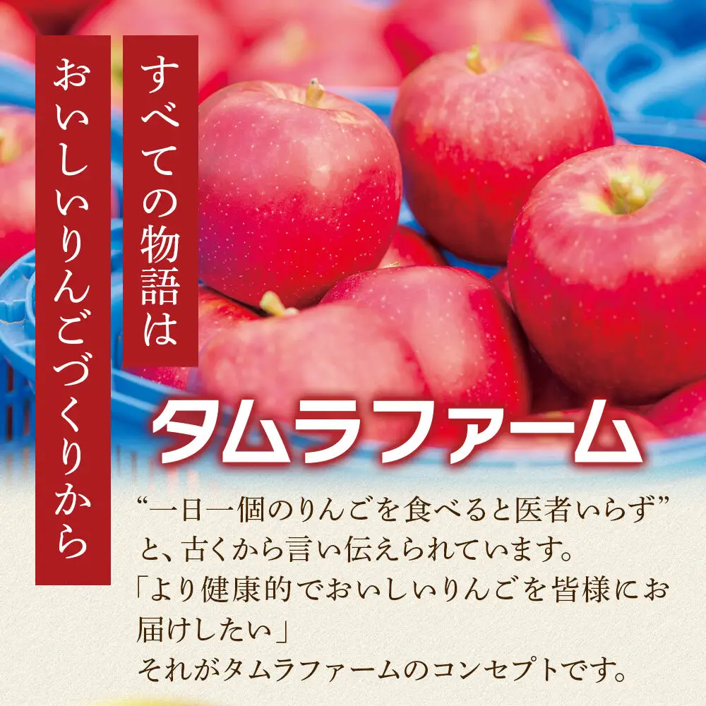 シードル タムラシードルセット TM-SD（SWEET・DRY 500ml×各1本 計2本） 青森県弘前市 タムラファーム りんごのお酒