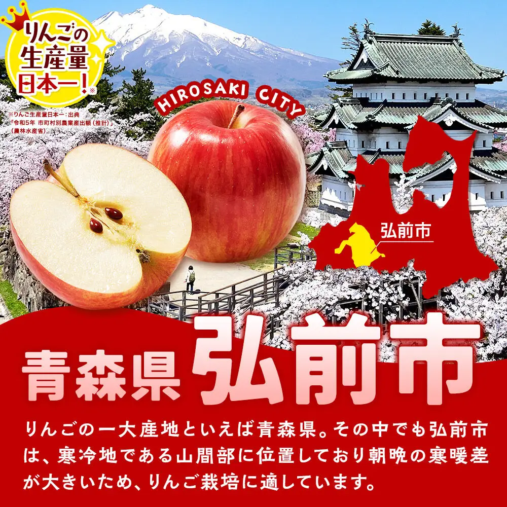 りんご サンふじ 贈答用 約3kg【2月～発送】りんご