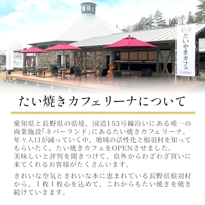 5秒に1枚売れている！たい焼き 化学添加物不使用のつぶあん 18枚セット 個包装