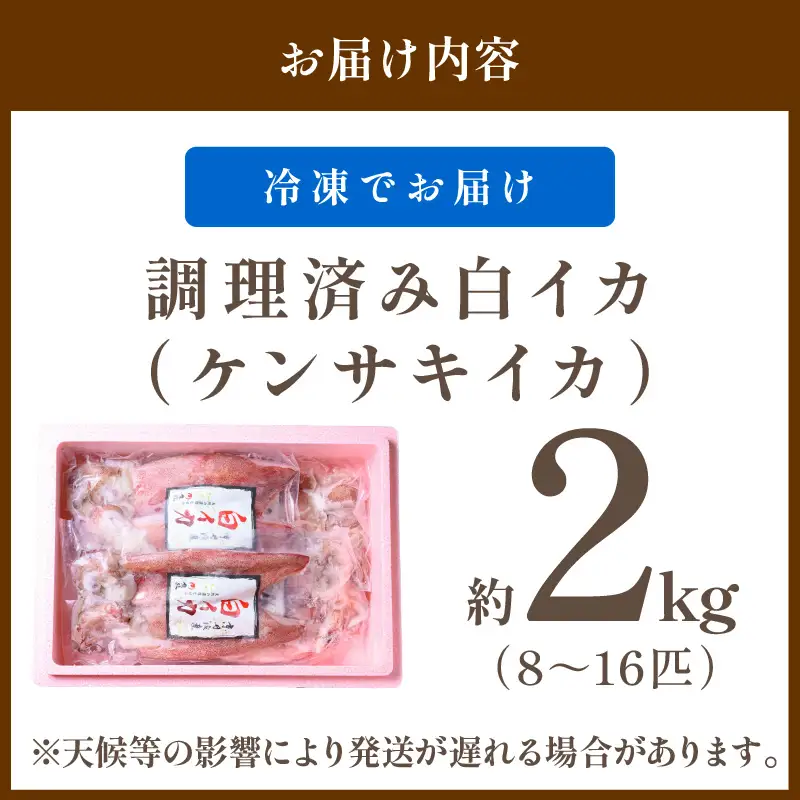 白イカケンサキ正味2kg しろいか