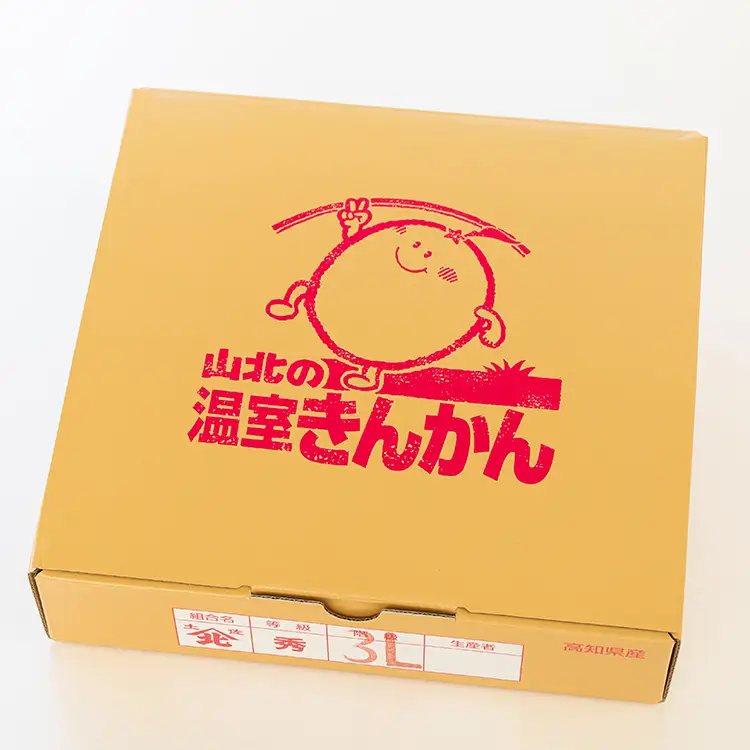 【先行受付】きんかん 約1kg 完熟 きんかん ku-0032