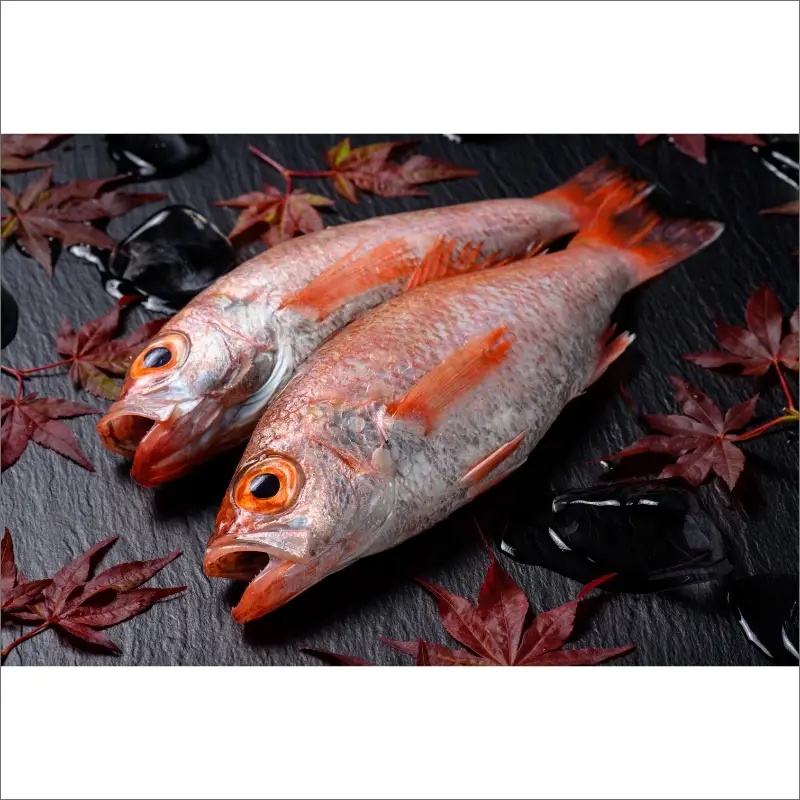 のどぐろ一夜干し３尾 500g級使用「魚政のひもの」 のどぐろ 干物