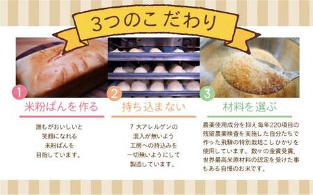 グルテンフリー 米粉パン シュークリーム 米粉パンアソートセット （冷凍） AD002