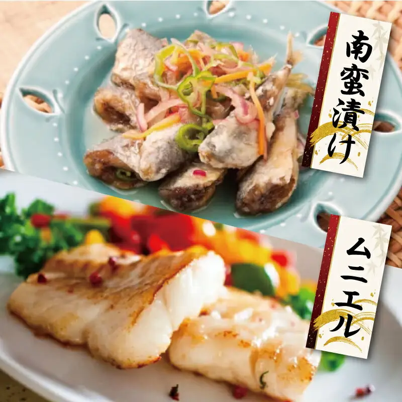 伊勢湾産 海産物セット 魚 貝 干物 海藻 新鮮 詰め合わせ セット 海鮮 海産 直送 海 漁師 おまかせ 旬 季節 お楽しみ K5