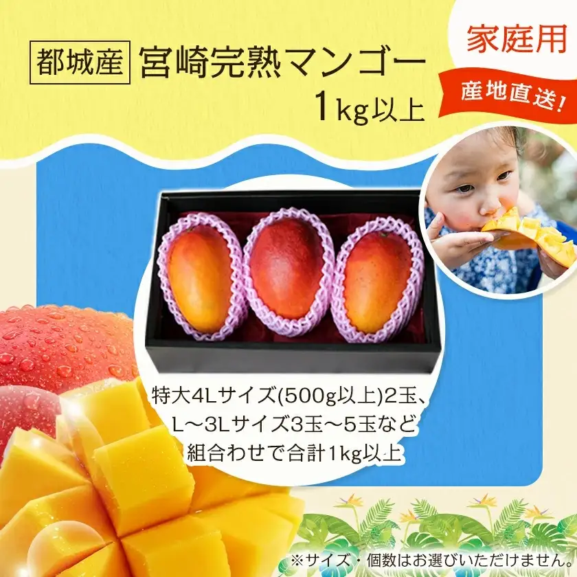 【先行受付!】宮崎完熟マンゴー家庭用1kg以上(都城産)≪2027年6月～7月頃順次お届け≫〔MJ-3311〕_(都城産) 特大4Lサイズ(500g以上)2玉 L～3Lサイズ3玉～5玉など組合わせで合計1kg以上 宮崎マンゴー 産地直送 規格外
