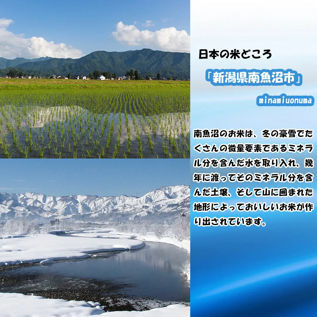【令和8年産新米先行予約】南魚沼産新之助5kg【2026年10月下旬より1ヶ月以内に順次発送予定】