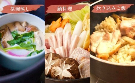 ＜ R8年熊本地震復興支援 ＞【天草の旨味】上天草の和風だし【添加物不使用】5点セット