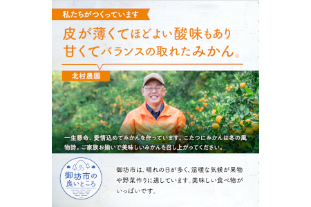 【0613-4】濃厚温州みかん5kg（和歌山天田みかん）みかんの産地和歌山 北村農園直送《先行予約》