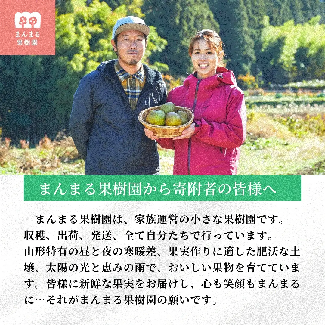 西洋梨（ラ・フランス）３玉　大玉　特秀品　0055-2608