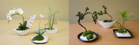 【偶数月にお届け】和モダン 苔盆栽の6回定期便 