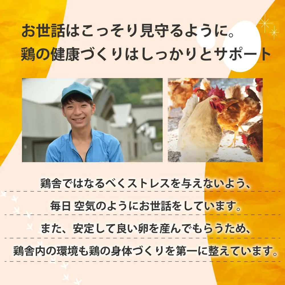 たまご屋さんのギフトセット 平飼い 有精卵