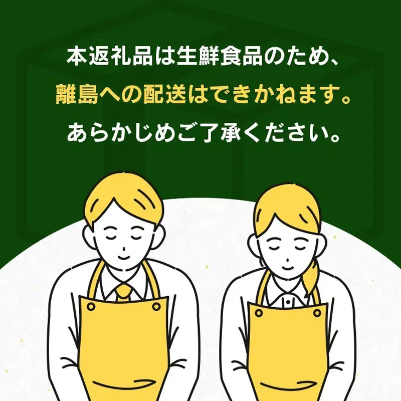 みかん 津之輝 計2.5kg以上 化粧箱入り 先行予約 2027年 令和9年発送 果物 くだもの フルーツ 柑橘_BC170-26
