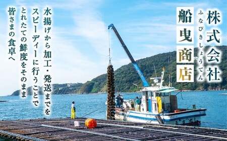 赤穂市産 干えび（むき）約100g×2袋 ほしえび 小分け おつまみ 国産