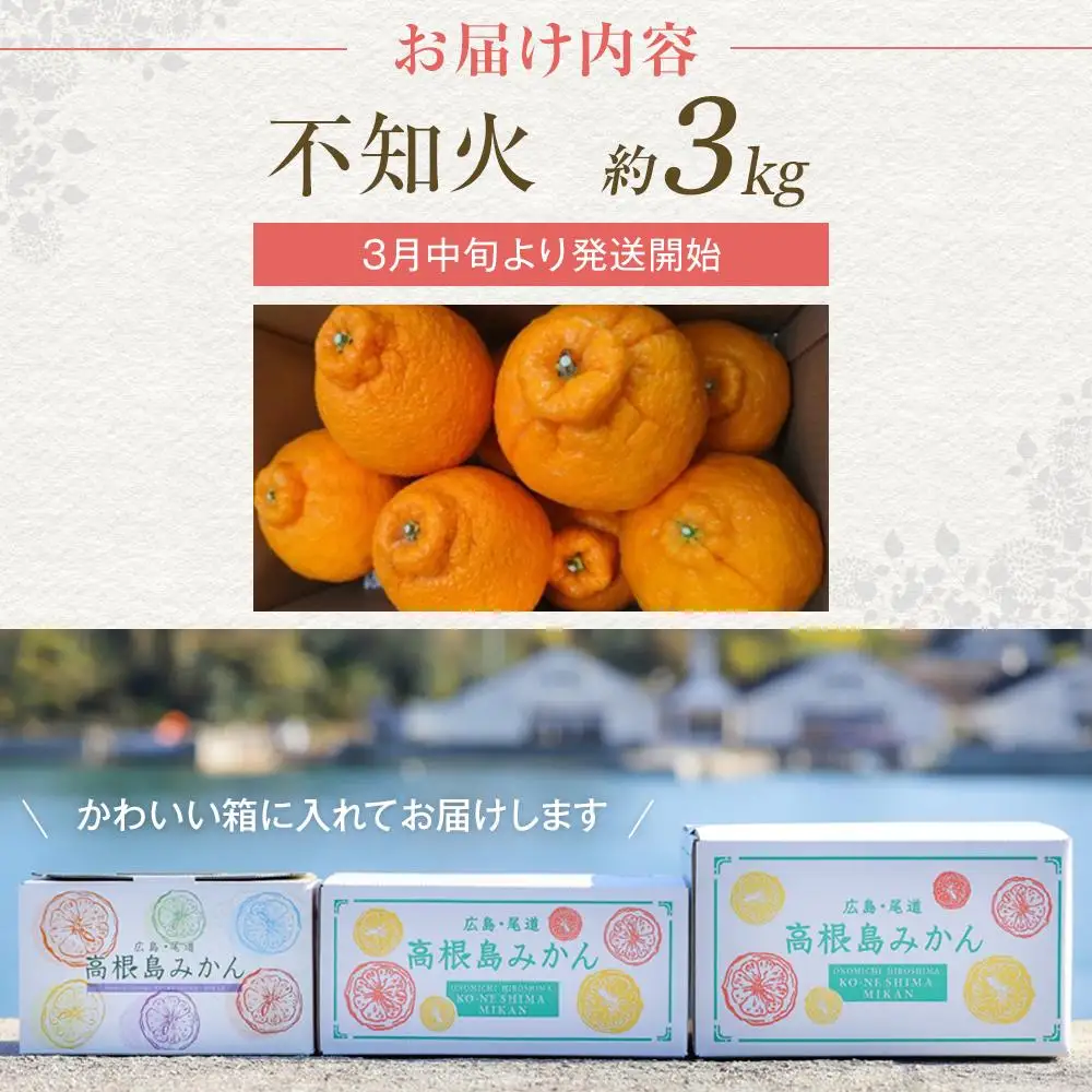 【先行予約】柑橘の王様 大玉・濃厚な不知火（しらぬい）3kg　＜2027年3月中旬より発送開始＞