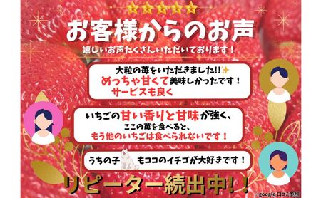 いちご 超特大粒 3粒入り×4パック いちご