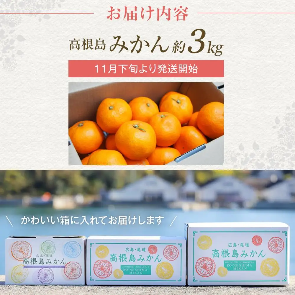 【先行予約】こだわり栽培　高根島みかん 3kg ＜2026年11月下旬より発送開始＞