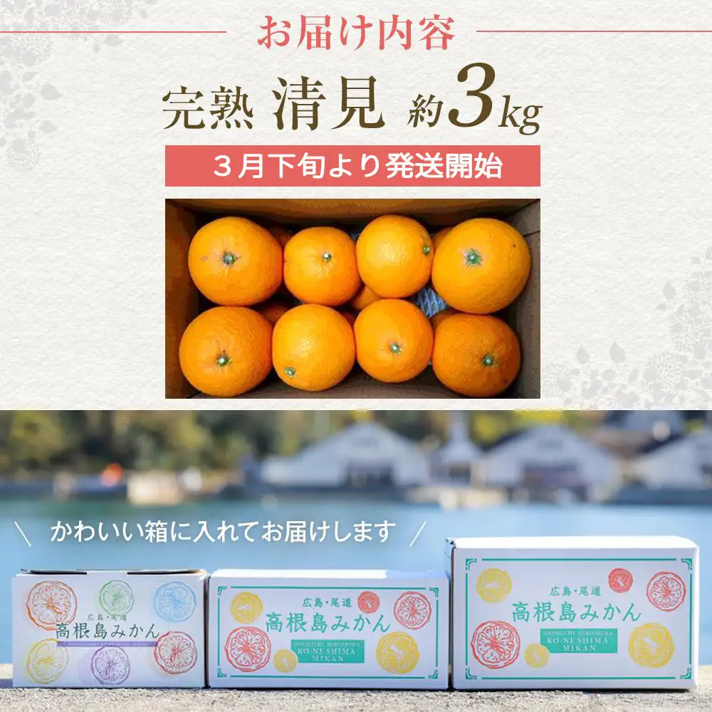 【先行予約】めっちゃジューシー 完熟清見 3kg＜2027年3月下旬より発送開始＞