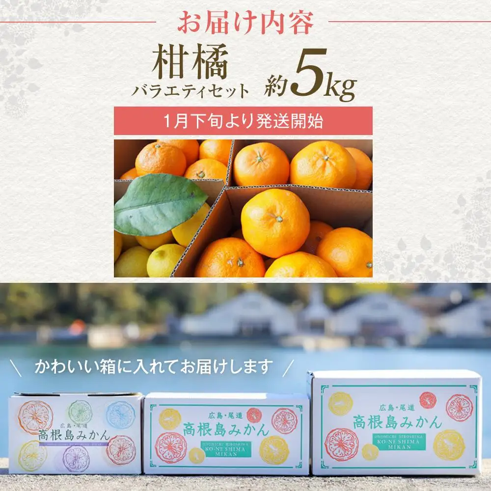 【先行予約】柑橘バラエティセット 5kg ＜2027年1月下旬より発送開始＞