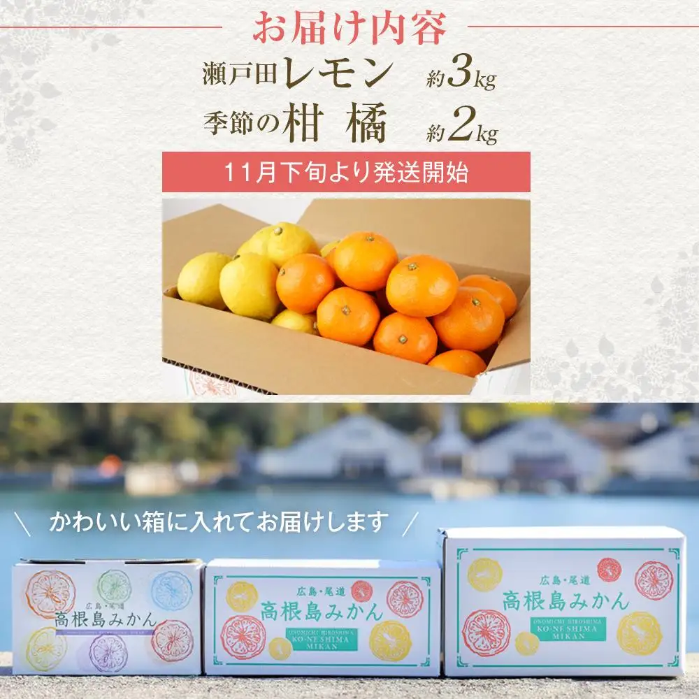 【先行予約】瀬戸田レモン3kg 季節の柑橘2kg ＜2026年11月下旬より発送開始＞