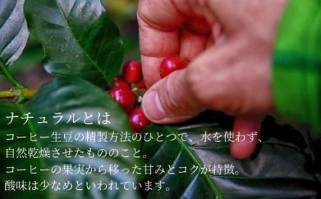 粉 デカフェ カフェインレスコーヒー豆 焙煎度違い飲み比べセット 200g×3種類